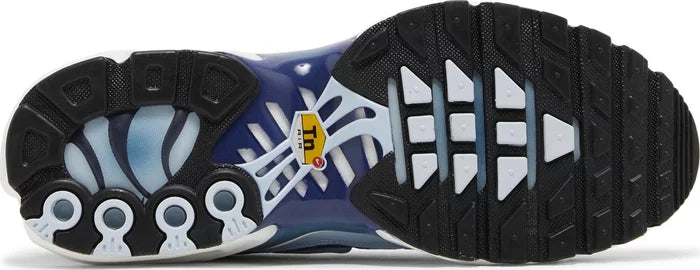Women’s Nike Air Max Plus Tn ‘Celestine Blue'