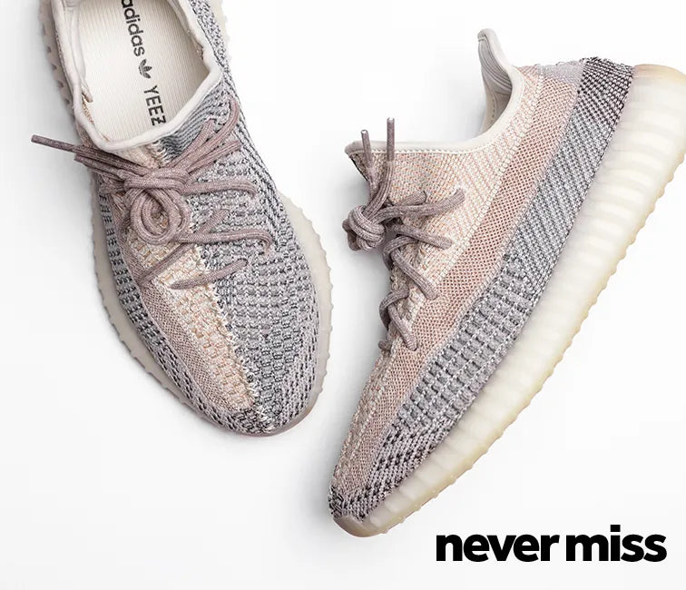Adidas Yeezy Boost 350 V2 'Ash Pearl'
