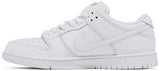 Men's Nike Dunk Low Pro SB 'Triple White'