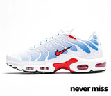Men's Nike Air Max Plus Tn 'Tide'