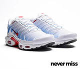 Men's Nike Air Max Plus Tn 'Tide'